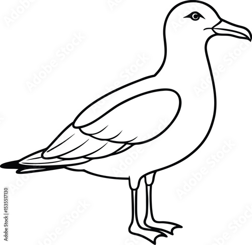 duck isolated on white background