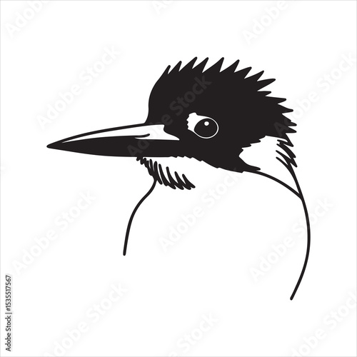 Azure Kingfisher – Brilliant Blue Fisher of the Tropics