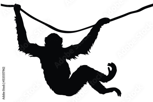 Black silhouette of an orangutan swinging from a vine on a white background