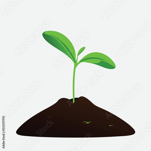 Young green plant emerging from soil illustrating growth and new life