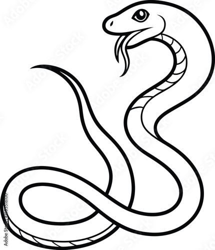 black and white snake
