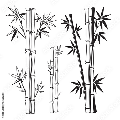 Elegant bamboo stalks with leafy branches in vector illustration for creative designs