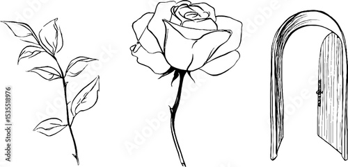 Elegant line art set featuring stained glass rose and elements for creative design