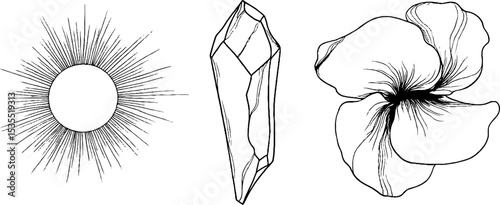 Elegant set of line art illustrations featuring sun halo, crystal, and flower for creative design