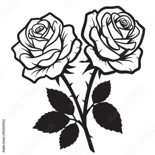 Elegant black and white illustration of two detailed rose flowers with thorns and leaves