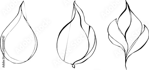 Minimalist line art illustration of teardrop and bean shapes for modern design