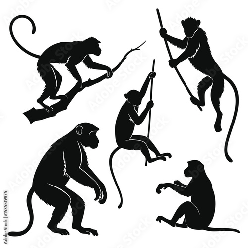 Silhouette illustrations depicting various monkey poses climbing hanging and sitting on branches
