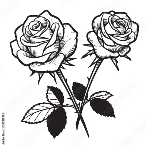 Elegant hand drawn black and white roses with detailed petals and leaves vector design