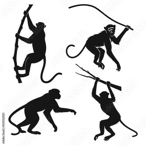 Silhouette illustrations of monkeys in various poses with branches and vines for graphic design