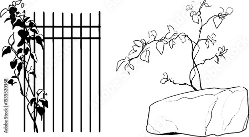 Vintage iron gate line art set with climbing plant and natural stone element for decorative designs