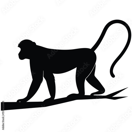 Silhouette of a monkey perched on a branch isolated against a white background