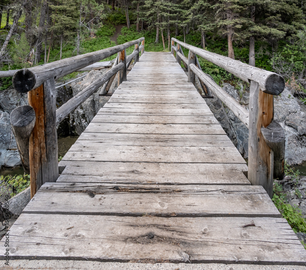 Obraz premium Hellroarding Creek Trail Crosses Bridge Deep In The Yellowstone Backcountry