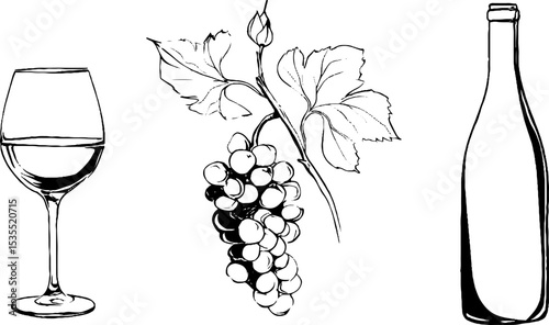 Elegant line art set featuring wine glass, grape cluster, and wine bottle for design projects
