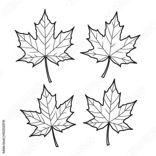 Four outlined maple leaves in black and white for fall season designs and projects