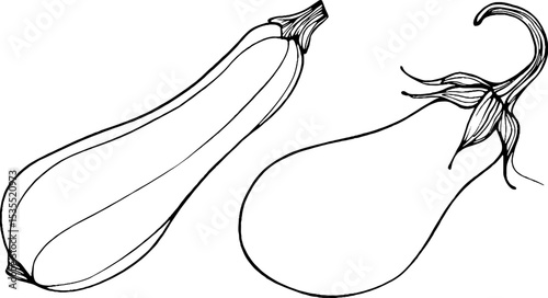 Minimalist line art of whole and sliced zucchini for creative designs