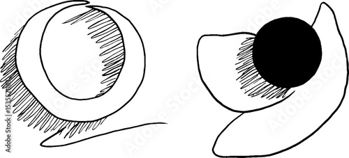 Minimalist line art set featuring eclipse ring themes for design use