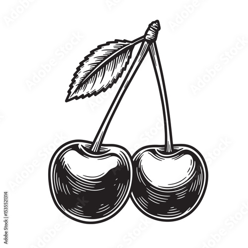 Hand drawn illustration of two cherries with a leaf in black and white for design