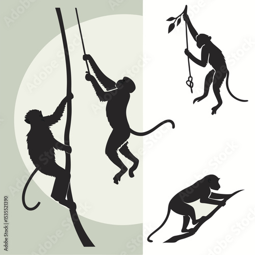 Silhouettes of playful monkeys climbing and swinging on vines and branches in black