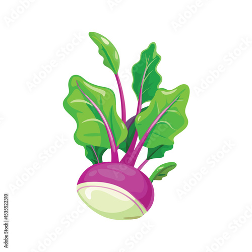 Vibrant cartoon illustration of a fresh purple kohlrabi vegetable with green leaves