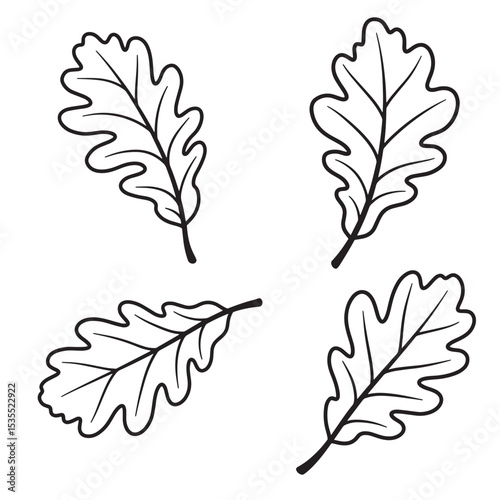 Simple hand drawn black and white oak leaves isolated on white background illustration