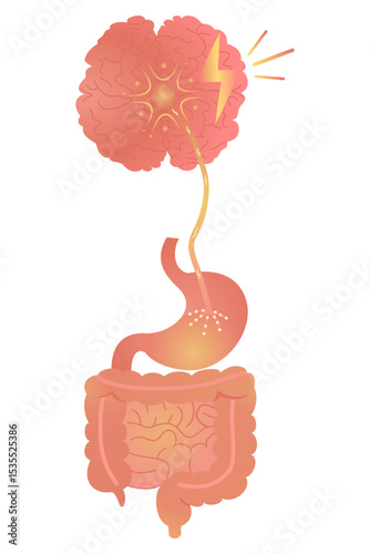 Stressed Brain and Gut Connection Illustration – Nerve Link Causing Acid Reflux and Intestinal Toxicity