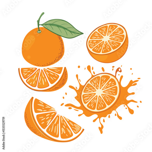 Delicious orange fruit slices and whole orange with leaf vector illustration on white