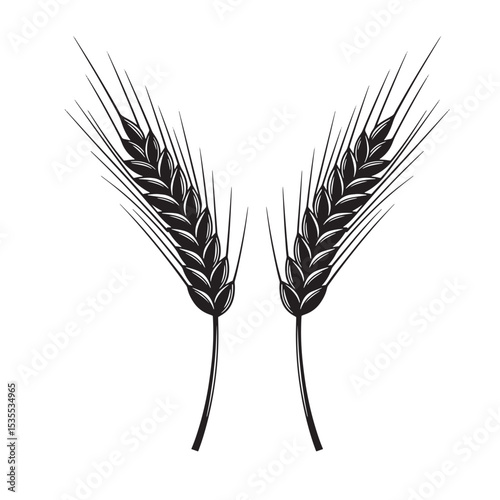 Two stylized black and white wheat ear silhouettes representing the harvest grain agriculture symbol, for food or logo design elements.