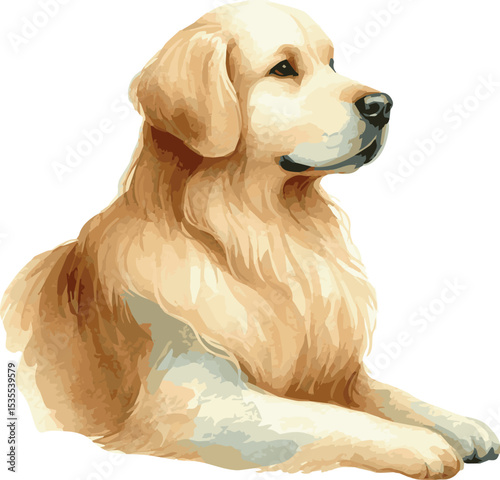 Vector watercolor painted illustration of a golden retriever