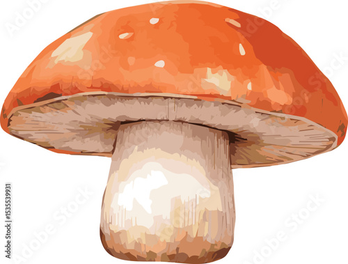 Vector watercolor painted illustration of a brown mushroom