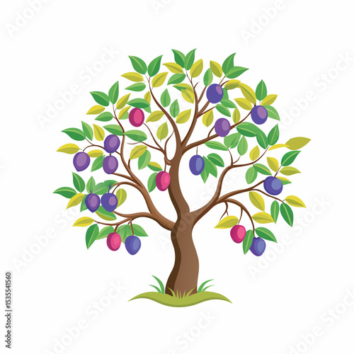 Plum Tree with Ripe Fruits and Green Leaves – Colorful Fruit Tree Illustration on White Background
