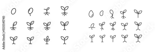 Simple line drawings of seed growth stages showcasing various plant seedlings in different positions and orientations on a light background