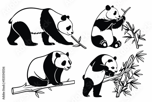 Black and white panda bear illustrations featuring pandas eating bamboo and posing in various positions