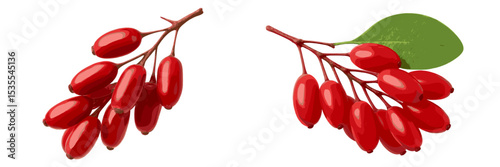 Bright red berries on branches create an appealing and vibrant display perfect for decoration and culinary use