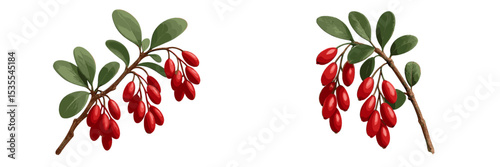 Red fruit branches with green leaves showcasing a vibrant natural display