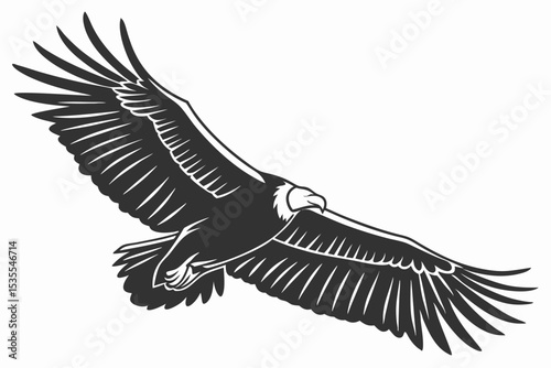 condor bird sihouette black vector 