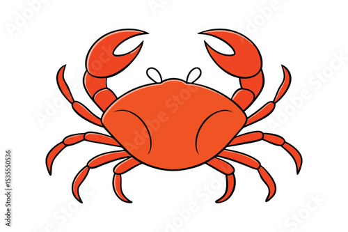Crab  vector illustration, Set of  Crab  vector 