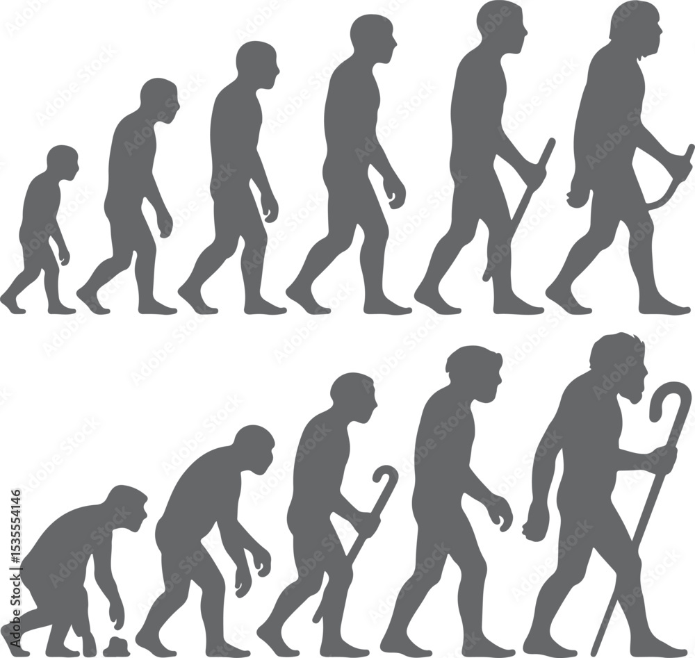Obraz premium Gray Scale Silhouette Human Evolution Stages Progression Primate Ape to Modern Man Walking Stick Tool