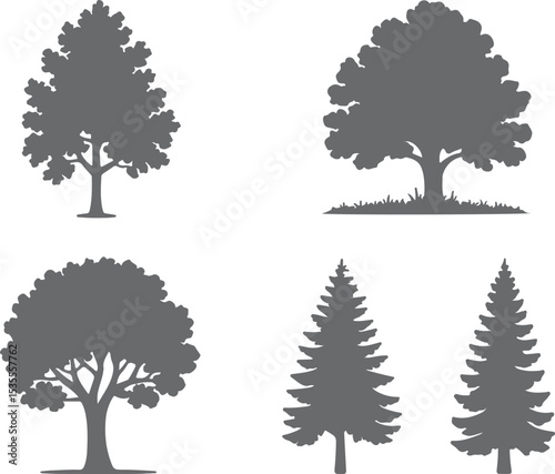 Four Gray Tree Silhouettes Set Deciduous Trees Evergreen Trees Nature Icons Graphic Design Elements Simple Flat Style Illustrations