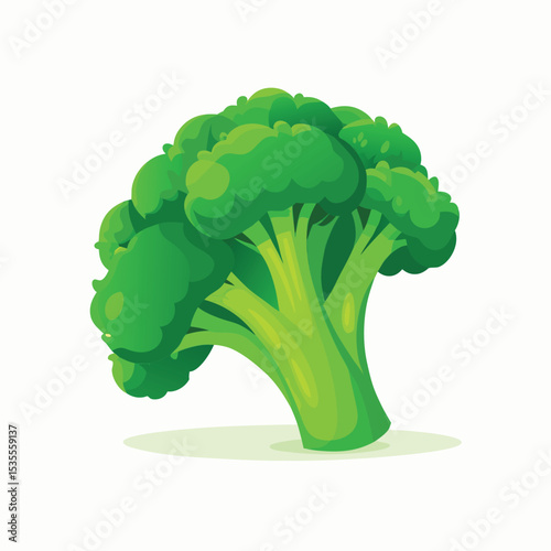Fresh and healthy green broccoli vector illustration on a clean white background