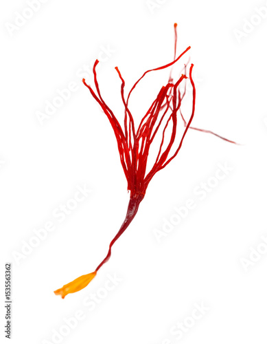 Crimson Saffron Threads