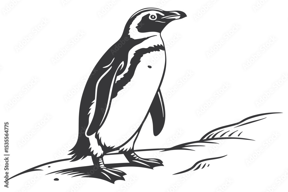 Obraz premium Penguin Vector Illustration Standing Alone as Graphic Clipart