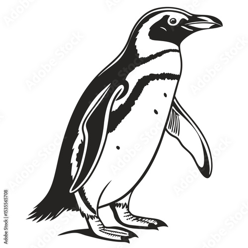 Black and white illustration of a standing penguin isolated on a white background