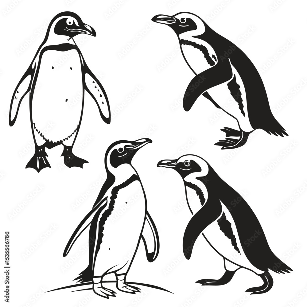 Naklejka premium Black and white vector illustration of four playful penguins in different poses