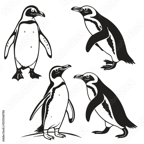 Black and white vector illustration of four playful penguins in different poses