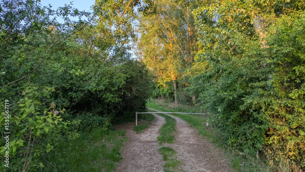 Naklejka premium weg mit schranke