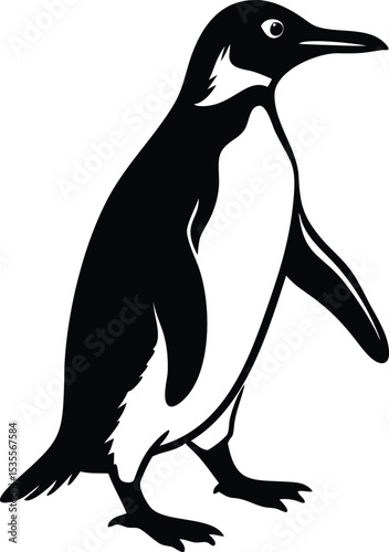 Detailed black and white vector illustration of an elegant penguin on a clean white background