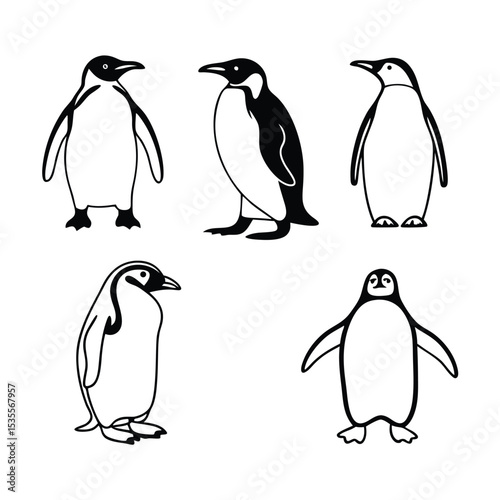 Elegant black and white line art collection depicting adorable penguin illustrations in various poses