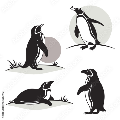 Elegant black and white penguin illustrations depicting diverse poses and minimalist style