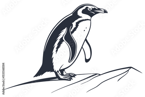Illustrated silhouette of a penguin standing on a rock with detailed black and white design