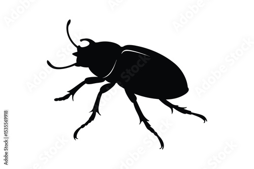 Beetle silhouette  vector illustration, Beetle silhouette  vector bundle 